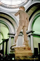Rear view of David