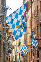 The emblem of the Capitana dell'Onda shows a dolphin with a royal crown