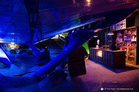 Exhibits inside the whale