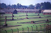 Remains of wooden barracks at Auschwitz II-Birkenau site