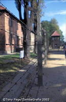 Auschwitz concentration camps