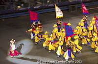 Tibetan cultural group