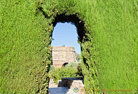 Looking through one of the thick hedges at the Alhambra