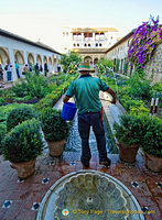 Palace of the Generalife: Gardener at work in the Patio de la Acequia