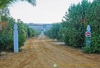 Gate to an olive farm