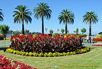 Beautiful flower beds of the Piquío Gardens