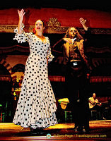 Star flamenco dancers
