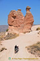The Camel rock formation