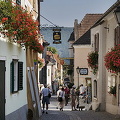 Dürnstein | Danube River cruise