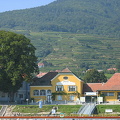 Town of Spitz on the Danube