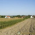 Countryside views