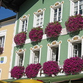 Beautiful floral decoration