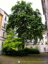 Vienna apartment courtyard
