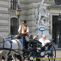 A horse and carriage sightseeing tour of Vienna