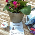 Coffee break at Cafe 't Klokske on Groenplaats
