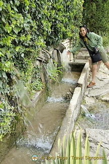 The Botanical Gardens and Queen Marie's Palace, Balchik, Bulgaria