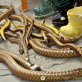 Toy snakes which look quite realistic