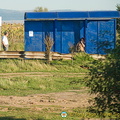 Veliko Turnovo to Sofia