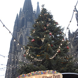 Cologne Christmas Market and Rhine Cruise