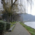 Rhine River Cruise in Winter