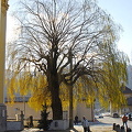 Innsbruck, Austria