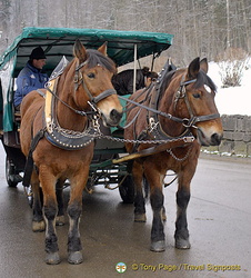 Horse and carriage rides in Hohenschwangau