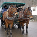 Horse and carriage rides in Hohenschwangau