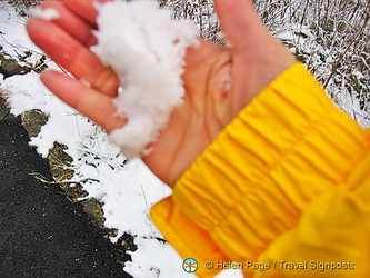 Touching our first snow in Germany, and here is the proof