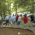 Plitvice Lakes National Park, Croatia