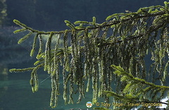 Plitvice Lakes National Park, Croatia