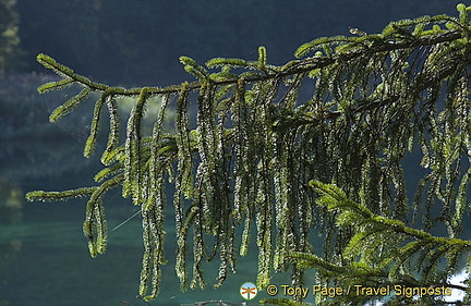 Plitvice Lakes National Park, Croatia