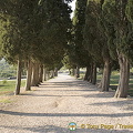 Salona, Croatia