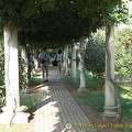 Salona, Croatia (1179访问量) Salona, Croatia