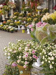 Flower shop Flower Square (Preradovicev Trg) 