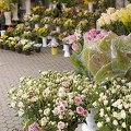 Flower shop Flower Square (Preradovicev Trg) 