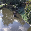 Trebon, Bohemian Lakes