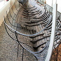 The Museum contains five reconstructed Viking ships (circa 1000) (11125 visits) The Museum contains five reconstructed Viking ships (circa 1000) The Museum contains five reconstructed Viking ships (circa 1000)