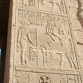DSC_0897.jpg
