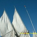 

[Aswan - Nile River -Egypt]