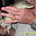 Tony and his new friend Sorbek [Aswan - Egypt]
