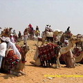Camel park.

[The Giza Plateau - The Great Pyramids - Egypt]