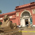The Sphinx guarding the entrance to the Cairo Museum
[Egyptian Museum - Cairo - Egypt]
