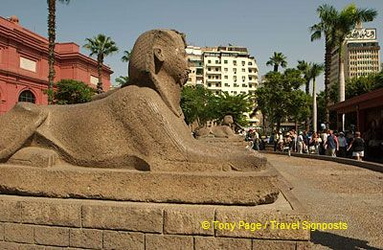 The Sphinx guarding the entrance to the Cairo Museum
[Egyptian Museum - Cairo - Egypt]