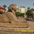 The Sphinx guarding the entrance to the Cairo Museum
[Egyptian Museum - Cairo - Egypt]