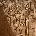 IMG_4382.jpg