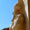 Temple of Hatshepsut - Deir al-Bahri