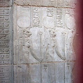 IMG_4623.jpg