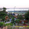 IMG_4655.jpg