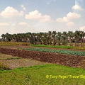 Farmland around Mit Rahina village - Memphis
[Mit Rahina village - Memphis - Egypt]