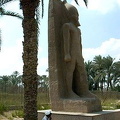 In the garden can be found more statues of Rameses II.
[Temple of Ptah - Mit Rahina village - Memphis - Egypt]